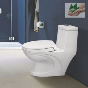 bon cau mot khoi viglacera