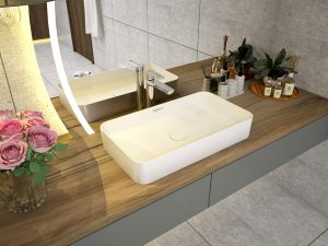 Chau rua Viglacera CM1 dep