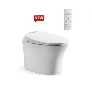 Bon cau Viglacera V93