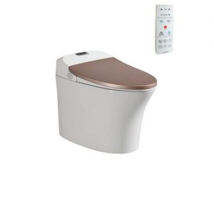 Bon cau Viglacera V93GW