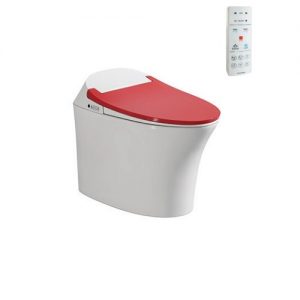 Bon cau thong minh Viglacera V93RW