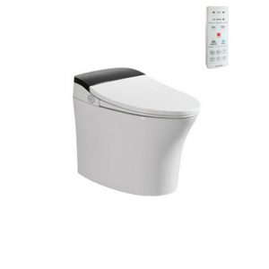 Bon cau Viglacera V93WB