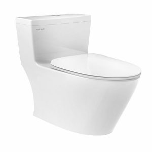 Bon cau Viglacera Platinum P.11.320