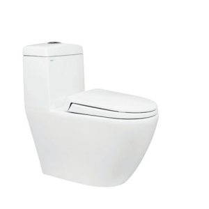 Bồn cầu 1 khối Viglacera V199