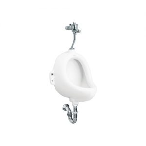 Tiểu nam Viglacera TT1