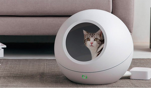 Nhà vệ sinh tự dọn cho mèo