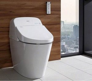 Bon cau thong minh TOTO